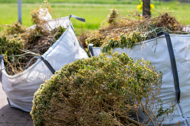 Best Retail Junk Removal  in Avoca, PA